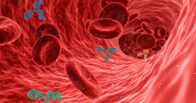 Microplastiques détectés dans les artères humaines : ce que cela signifie pour votre santé